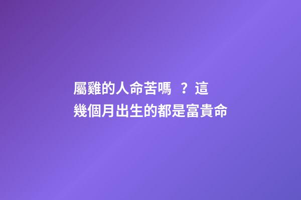 屬雞的人命苦嗎？這幾個月出生的都是富貴命
